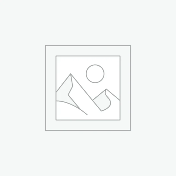 DELL PC-VOS 3888-I7-10700-8GB-1TB